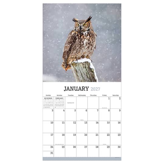 2027 Owls Wall Calendar